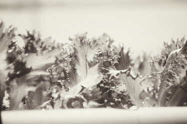 Similar image 8695320