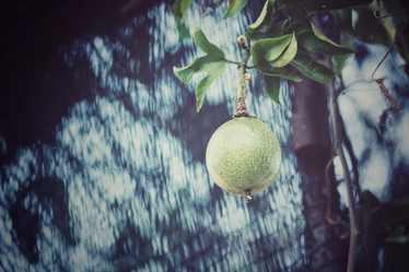 Similar image 8695322