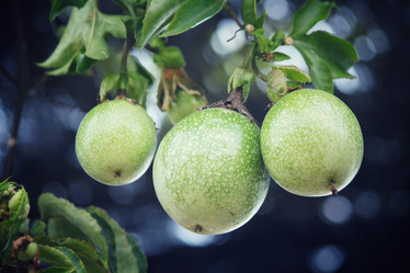 Similar image 8695324