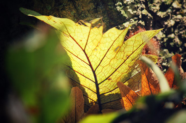 Similar image 8695327