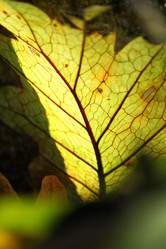 Similar image 8695329