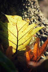 Similar image 8695331