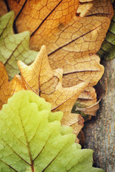 Similar image 8695338