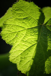 Similar image 8695350