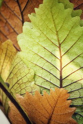 Similar image 8695406