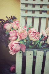 Similar image 8695419