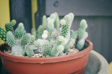 Similar image 8695423