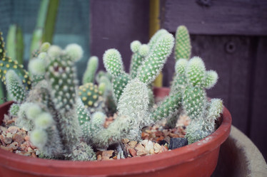 Similar image 8695425