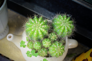 Similar image 8695427