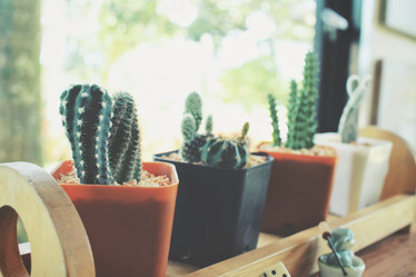 Similar image 8695433