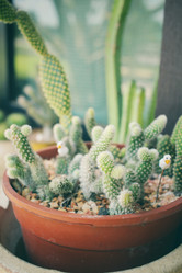 Similar image 8695485