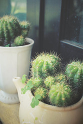 Similar image 8695487