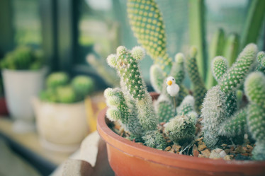 Similar image 8695489