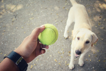 Similar image 8695492