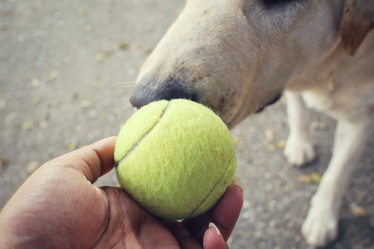 Similar image 8695494