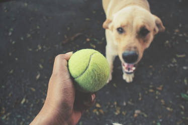 Similar image 8695496