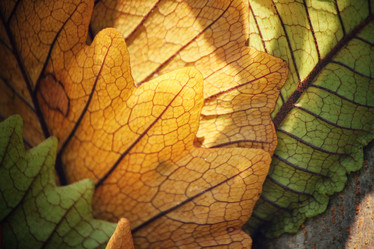 Similar image 8695501