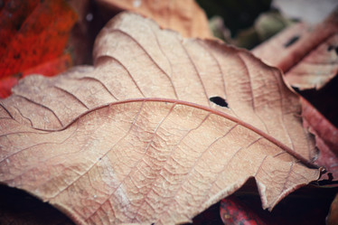 Similar image 8695504