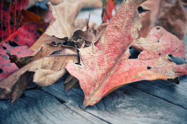 Similar image 8695505