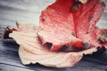 Similar image 8695509