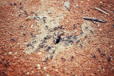 Similar image 8695511