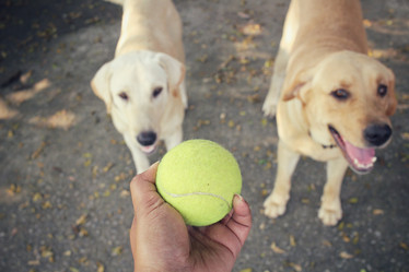 Similar image 8695516