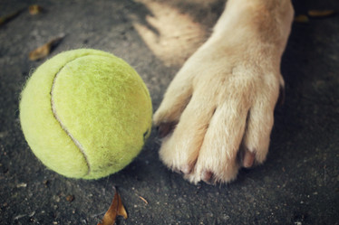 Similar image 8695518