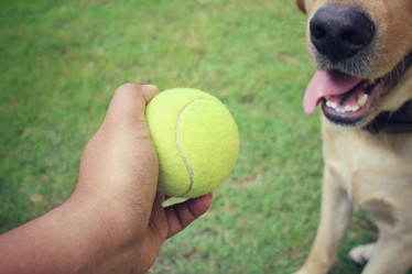 Similar image 8695520