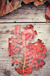 Similar image 8695523