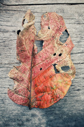 Similar image 8695579