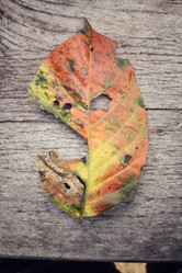 Similar image 8695581