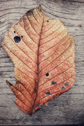 Similar image 8695585