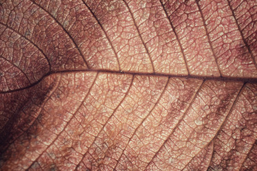 Similar image 8695587