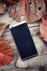 Similar image 8695589