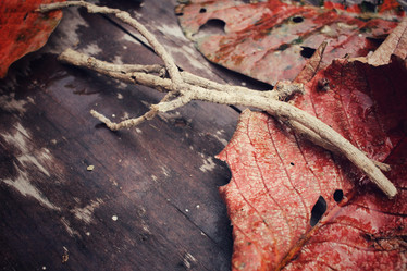 Similar image 8695591