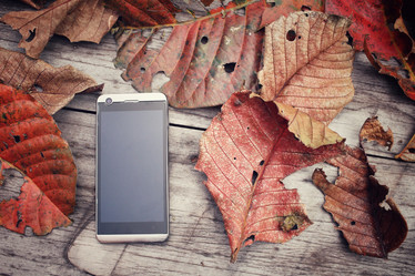 Similar image 8695593