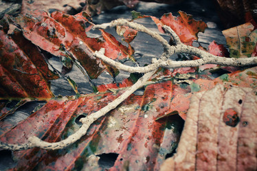 Similar image 8695595