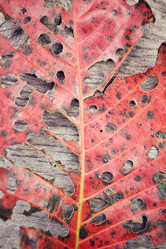 Similar image 8695597