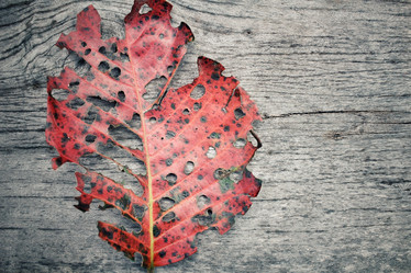 Similar image 8695599