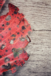 Similar image 8695601