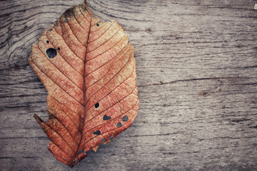 Similar image 8695603