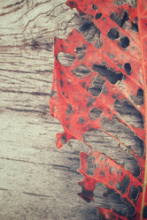 Similar image 8695605