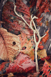 Similar image 8695607