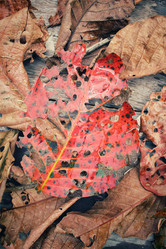 Similar image 8695613