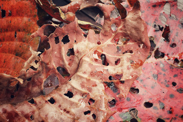 Similar image 8695660