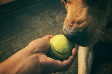 Similar image 8695668