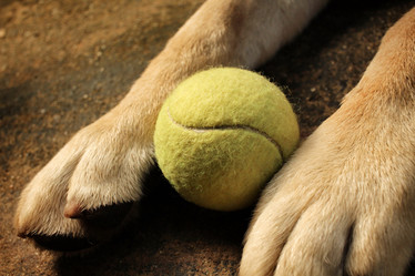 Similar image 8695670