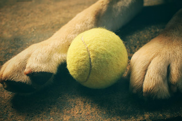 Similar image 8695672