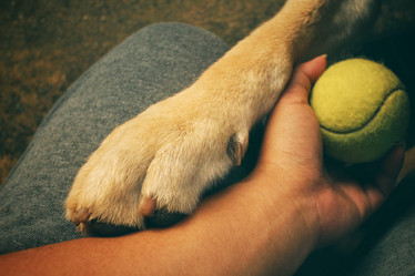 Similar image 8695674