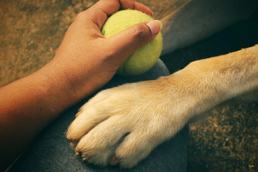 Similar image 8695676